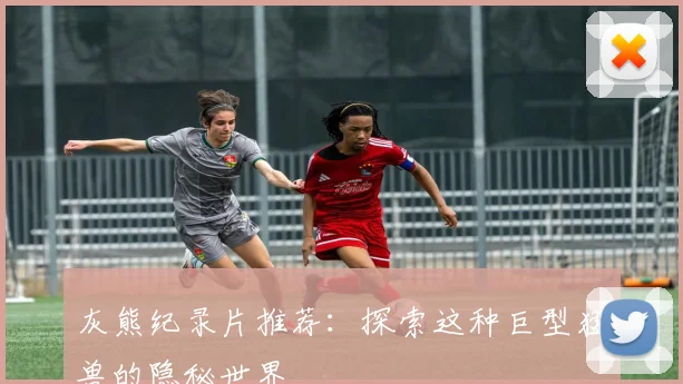 灰熊纪录片推荐：探索这种巨型猛兽的隐秘世界