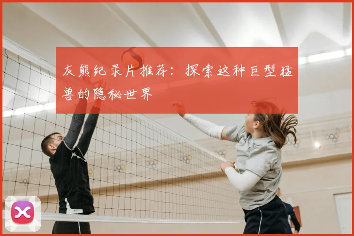 灰熊纪录片推荐：探索这种巨型猛兽的隐秘世界